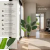 Arbre oiseau du paradis TROPIC - 120 cm Voir les images du produit 2