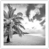 Poster - Poster ohne Rahmen - Monochrom Strand Wolken - Produktbild-Vorschau 1
