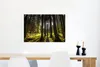 MuchoWow® Poster Baum - Natur - Sonne - Wald 60x40 cm - Produktbild-Vorschau 5