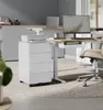 A modern home office setup with a standing desk, computer, printer, and filing cabinet. Anteprima dell’immagine prodotto