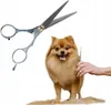 Professionelle Petstory Fellpflege-Schere für Haustiere Produktbild-Vorschau 1