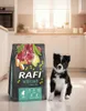 Dolina Noteci Rafi Junior z jagnięciną sucha karma dla psa Podgląd zdjęcia produktu 8