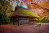 Muralo XXL Vlies FOTOTAPETE Herbsthuette im Wald von Japan Produktbild-Vorschau 2