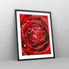 Gerahmtes Poster - Schwarzer Rahmen - Rose Blume Produktbild-Vorschau 8