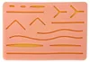 Surgicals Nahtübungs-Trainingsset, Silikon-Hautmodul, Produktbild-Vorschau 1