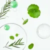 TOCOBO Cica Beruhigendes Serum 50ml Produktbild-Vorschau 14
