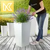 A woman waters lavender plants in white planters on a wooden deck. Produktbild-Vorschau