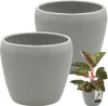 KOTARBAU® 2 St. Blumentopf Grau innen rund ⌀ 12 cm H: 12 cm Produktbild-Vorschau 1