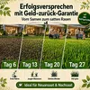 Premium Rasensamen  Sport&Spiel 2,5kg = 100m² Produktbild-Vorschau 3