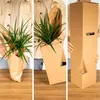 Assortiment d'herbes aromatiques pour le jardin, 4 plantes, Voir les images du produit 5