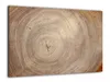 Glas Magnettafel Baumstamm Natur Baumkern 60x40cm Glasbild Produktbild-Vorschau 11