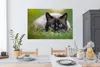 OneMillionCanvasses® - Leinwandbilder - 140x90 cm, Katze - Produktbild-Vorschau 5