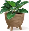 Öko-Holz Naturo Blumentopf, Beige, Braun, 24 cm x 19,5 cm, Produktbild-Vorschau 4
