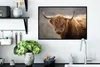 MuchoWow® MuchoWow® Gerahmtes Poster Schottisches Produktbild-Vorschau 3