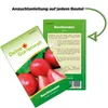 Buschtomaten Roma VF Samen - Solanum lycopersicum - Produktbild-Vorschau 3