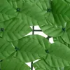 Parawan Balkonowy, Zielone Liście, 300X100 Cm Lumarko! Podgląd zdjęcia produktu 4