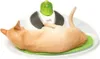 Katzenspielzeug Catit Senses 2.0 Wellness Center Produktbild-Vorschau 3