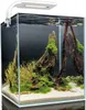 A small, modern aquarium with a white LED light fixture on top, filled with water, sand, driftwood, aquatic plants, and several red shrimp. Anteprima dell’immagine prodotto