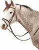 Star Diamond Snaffle Brown Cob Brown Cob Náhled obrázku produktu 2