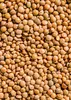 KoRo I Braune  Linsen 2 kg Produktbild-Vorschau 3