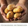 HaGaFe Terra Line  Kartoffelerde Blumenerde Pflanzerde 50 Produktbild-Vorschau 6