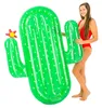 Luxe Cactus Float 185x132x20cm - Didak Pool Produktbild-Vorschau 4