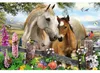 Puzzle 150T. Cavalla e puledro Anteprima dell’immagine prodotto 4