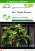 SAFLAX - Bio - Tajska Bazylia - 250 Nasiona - Z podłożem Podgląd zdjęcia produktu 1