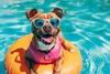 PETSTORY kamizelka ratunkowa dla psa pomoc wypornościowa M Podgląd zdjęcia produktu 7