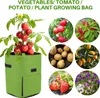 2 kusy sázecí pytel opakovaně použitelný sáček na brambory Náhled obrázku produktu 2