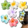 J&W Olisa set di fermagli per capelli di diversi colori Anteprima dell’immagine prodotto 10