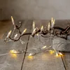 LED Lichterkette Pisello - Weihnachtslichterkette - 20 Produktbild-Vorschau 3