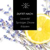 Reed Diffuser, Aroma Diffuser, Duftöl Diffuser | Lemon Produktbild-Vorschau 2