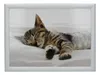 CREATIVE TOPS - Sacco a pelo imbottito, 44 x 34 cm, Anteprima dell’immagine prodotto 1