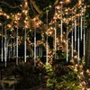 Outdoor tree decorated with string lights. Náhled obrázku produktu