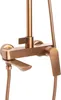 A close-up studio shot of a bronze-colored shower faucet with a handheld shower hose. Anteprima dell’immagine prodotto