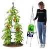 KADAX Obelisk – podpórka do pnączy 120 cm, 1 sztuka, Podgląd zdjęcia produktu 1