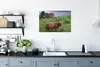 MuchoWow® Poster Schottische Highlander - Gras - Wasser - Produktbild-Vorschau 3