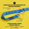 vitazoo Hundeleine - 3mx2,5cm - Nylon-Graphit Leine mit Produktbild-Vorschau 4