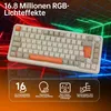 Wireless 75% Mechanical Keyboard AK820 MAX, 82-Key Produktbild-Vorschau 7
