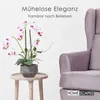 HOMESCAPES Künstliche weiße Phalaenopsis-Orchidee im grauen Produktbild-Vorschau 6