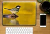 MuchoWow® Laptop Aufkleber Sticker Cover Kohlmeise - Vogel Produktbild-Vorschau 2