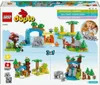 LEGO LEGO DUPLO 10446 Sada 3 v 1 pre rodiny divokch zvierat Náhľad obrázku produktu 29