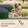 Floranica Bordure de jardin H40 x L100 cm Vert – ganivelle Voir les images du produit 6