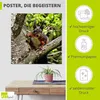 ARTland Poster Eichhörnchen Blick Größe: 30x30 cm Produktbild-Vorschau 2
