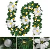 LED girlanda Peviasot, 2,7 m, 50 LED diódy, teplá biela Náhľad obrázku produktu 9