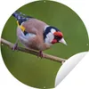 MuchoWow® Produktbild-Vorschau 1