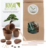Bonsai Starter Kit Anzuchtset inkl. GRATIS eBook - Produktbild-Vorschau 3