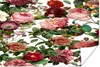 MuchoWow® Poster Blumen - Rosa - Weiß - Strauch 180x120 cm Produktbild-Vorschau 1