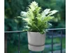 elho Greenville Easy Hanger 19.5 - Blumentopf für Balkon - Produktbild-Vorschau 9